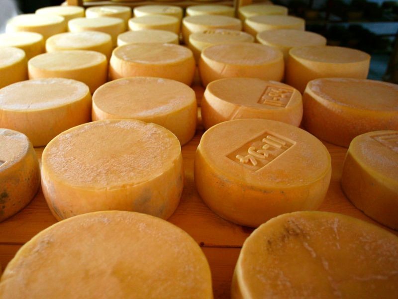 Pag cheese