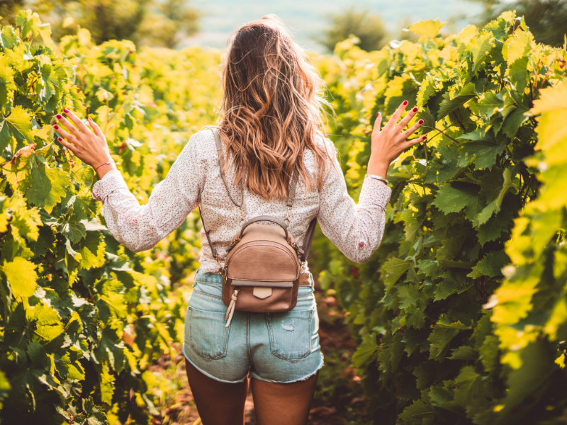 Exploring the vineyard in Porec