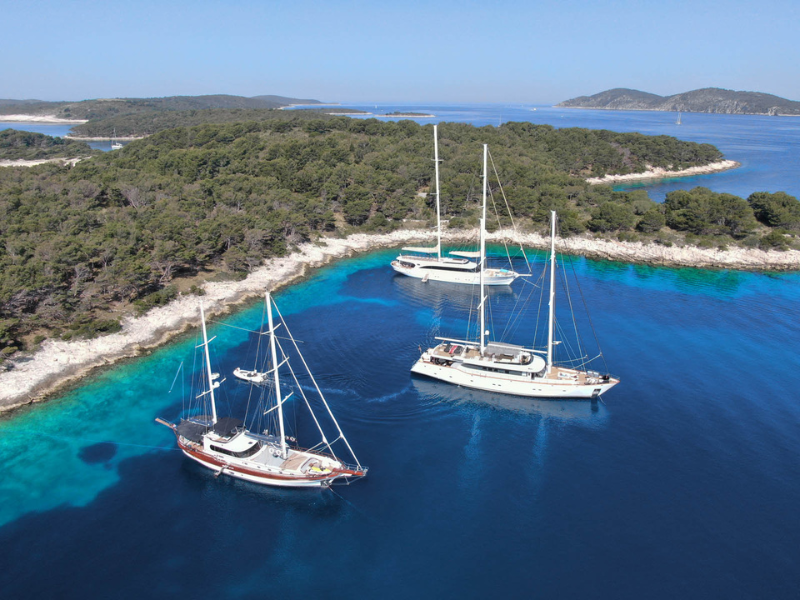 Acapella, Navilux and Lotus in a Bay