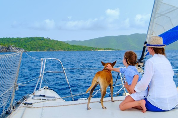 Dos and Don’ts When Cruising with a Pet
