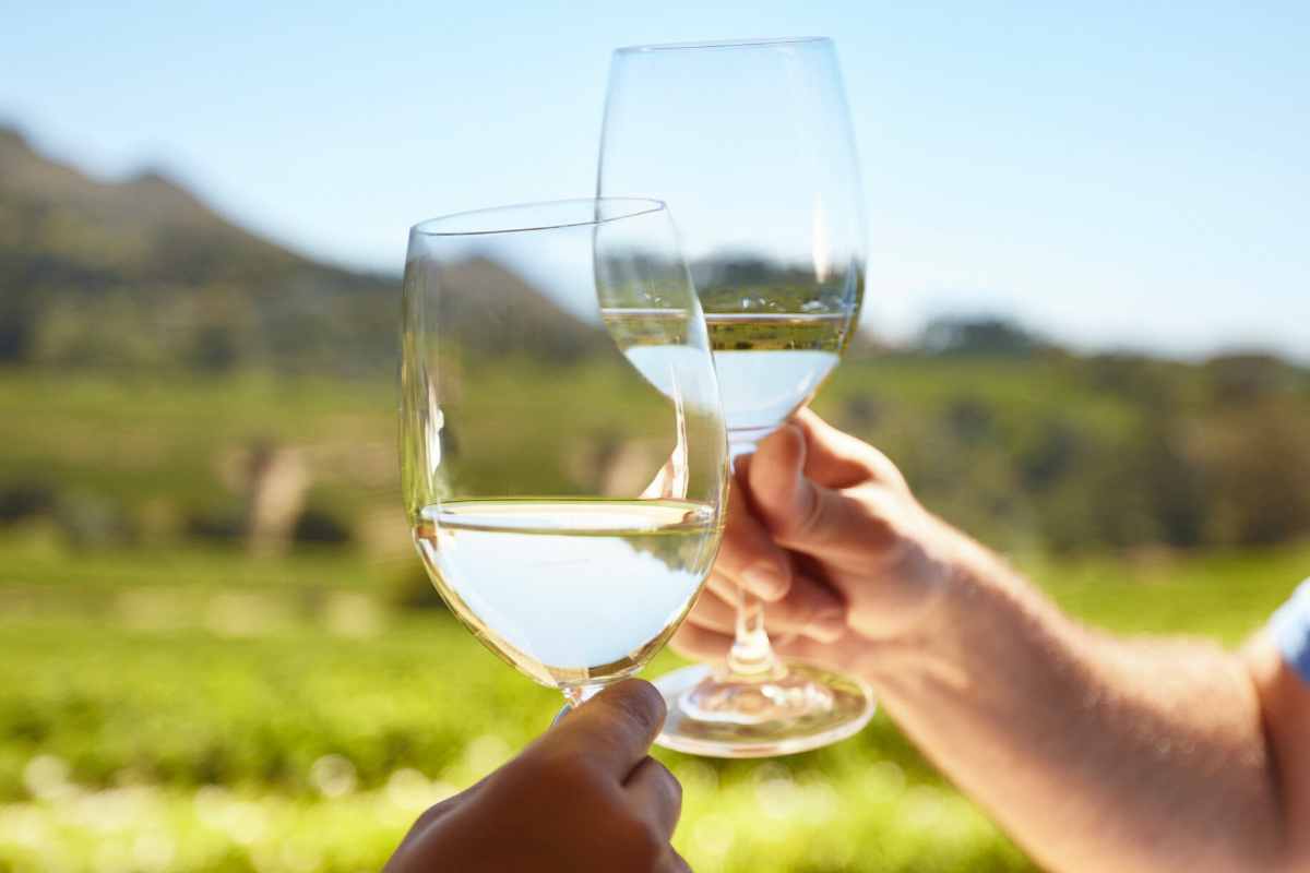 Top 5 wineries on Pelješac peninsula