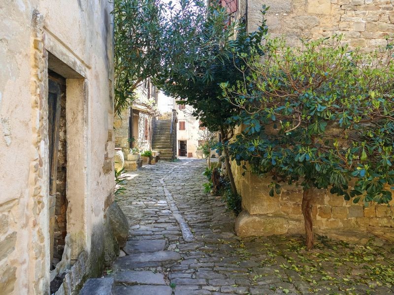 A Street in Istrian Village